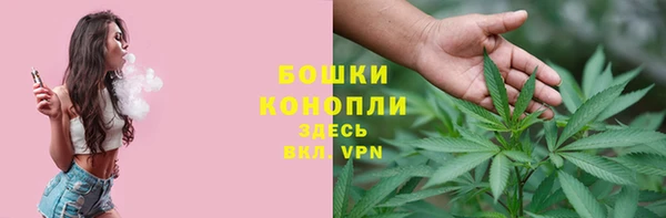 винт Аркадак