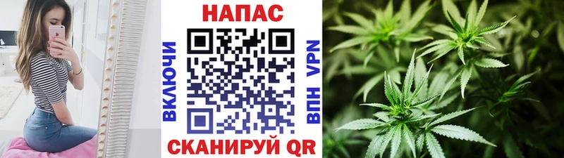 Конопля марихуана  Новоузенск 